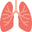 Respiratory Medications